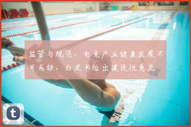 监管与规范，电竞产业健康发展不可或缺，白皮书给出建设性意见