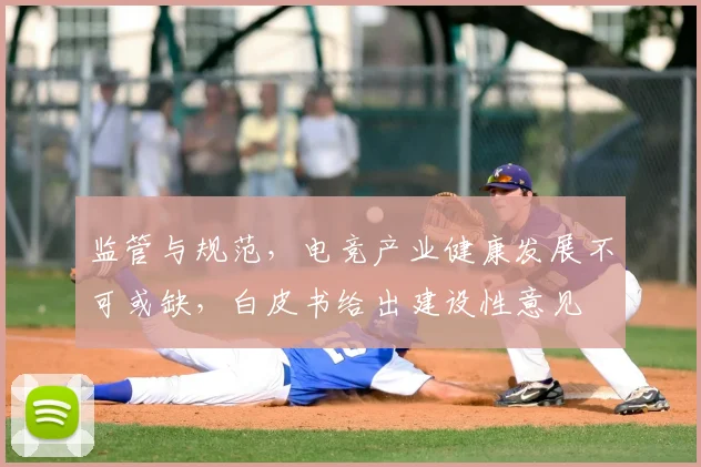 监管与规范，电竞产业健康发展不可或缺，白皮书给出建设性意见